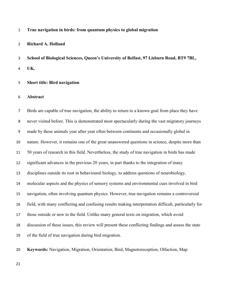 True navigation in birds from quantum physics to global