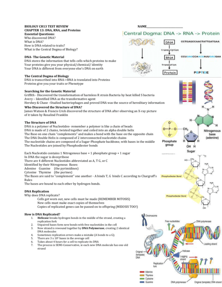 Bio Ch13 Test Review