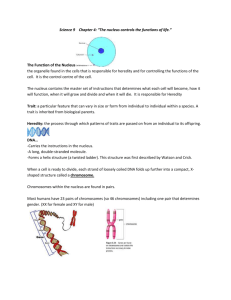 Genes, Chromosomes and DNA