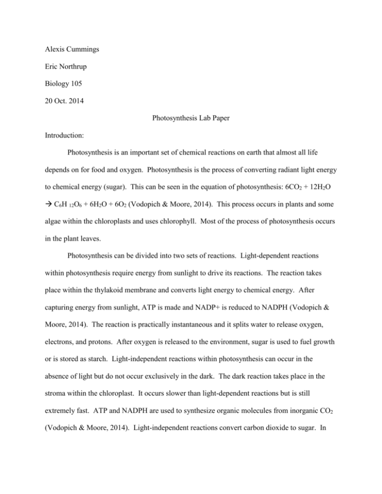 research paper about photosynthesis