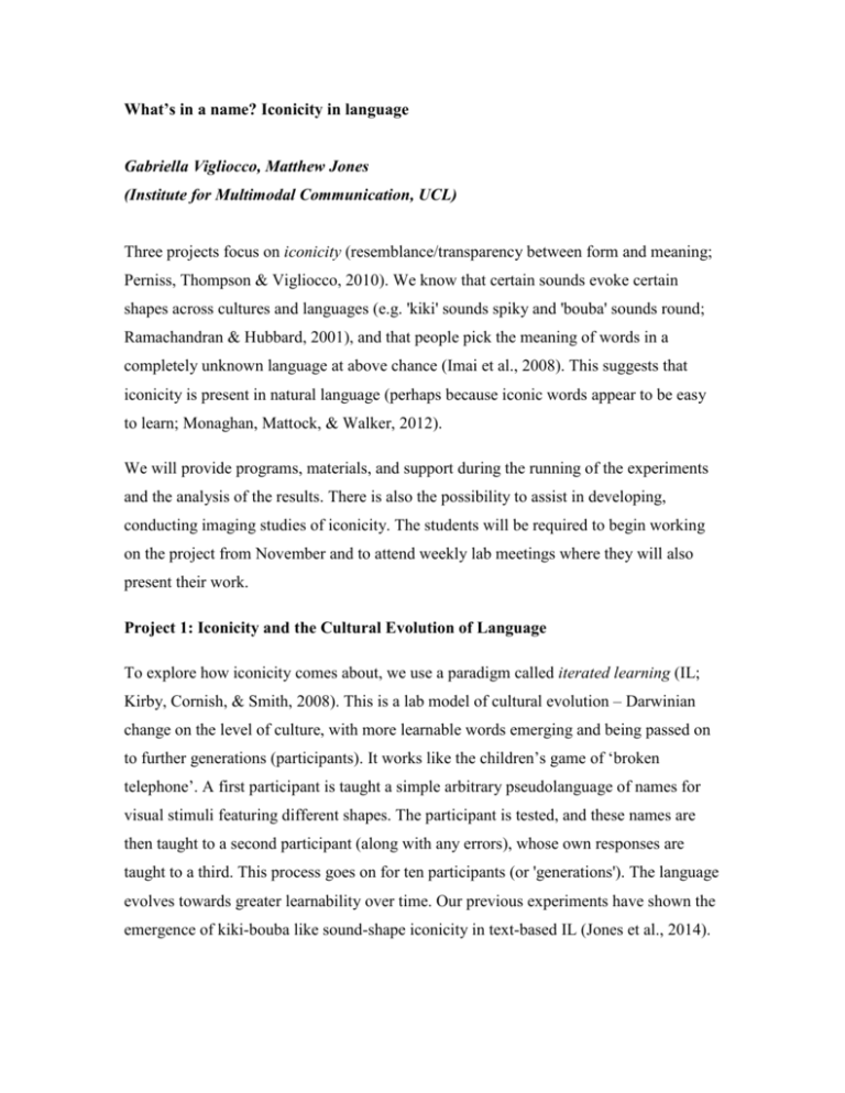 Iconicity in language (3 projects)