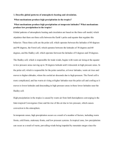 studylib.net - Essays, homework help, flashcards, research papers, book