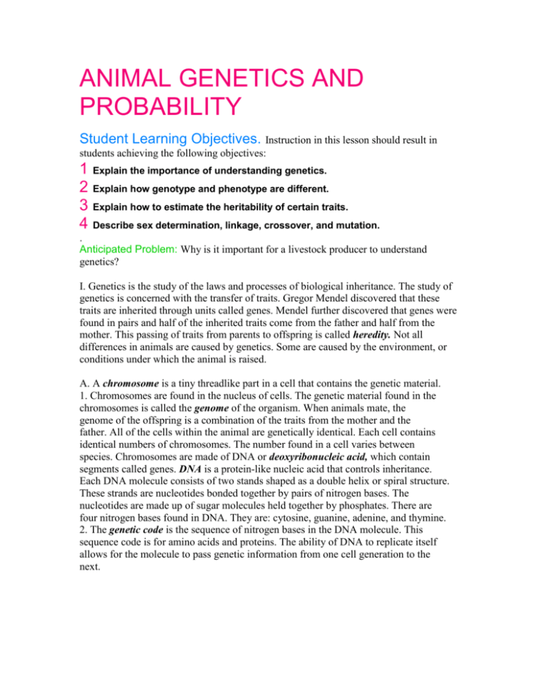 bsaa animal and probability worksheet