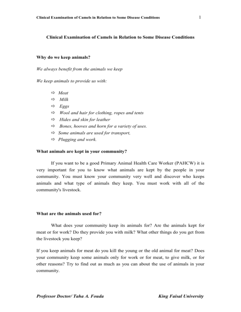 Why do we keep animals