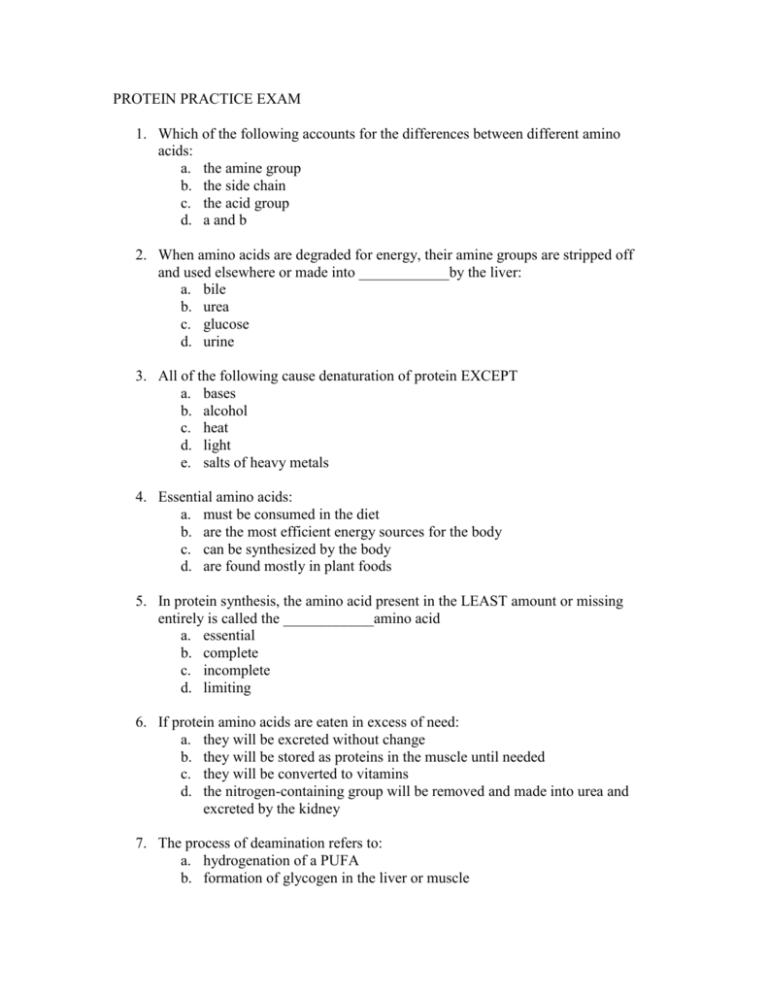 PROTEIN PRACTICE EXAM