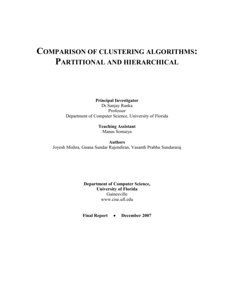 Project Report Template UF CISE