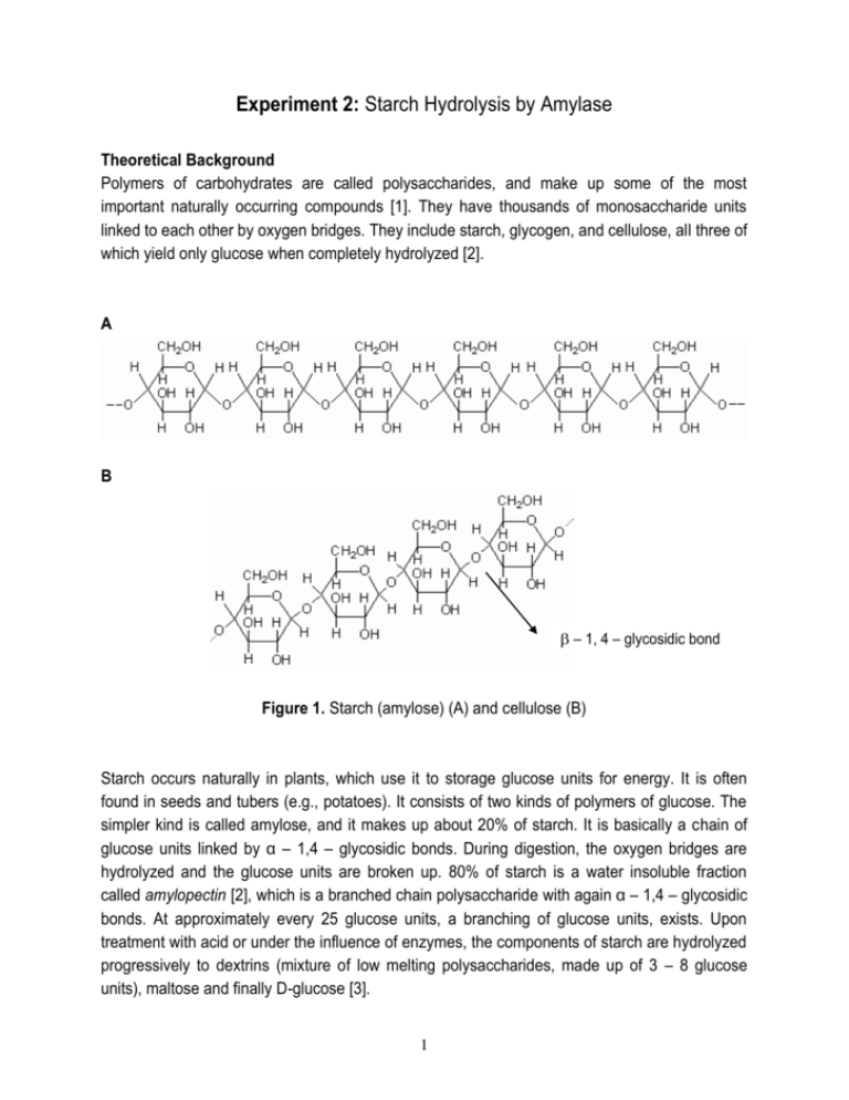 Experiment 2 Starch Hydrolysis by Amylase