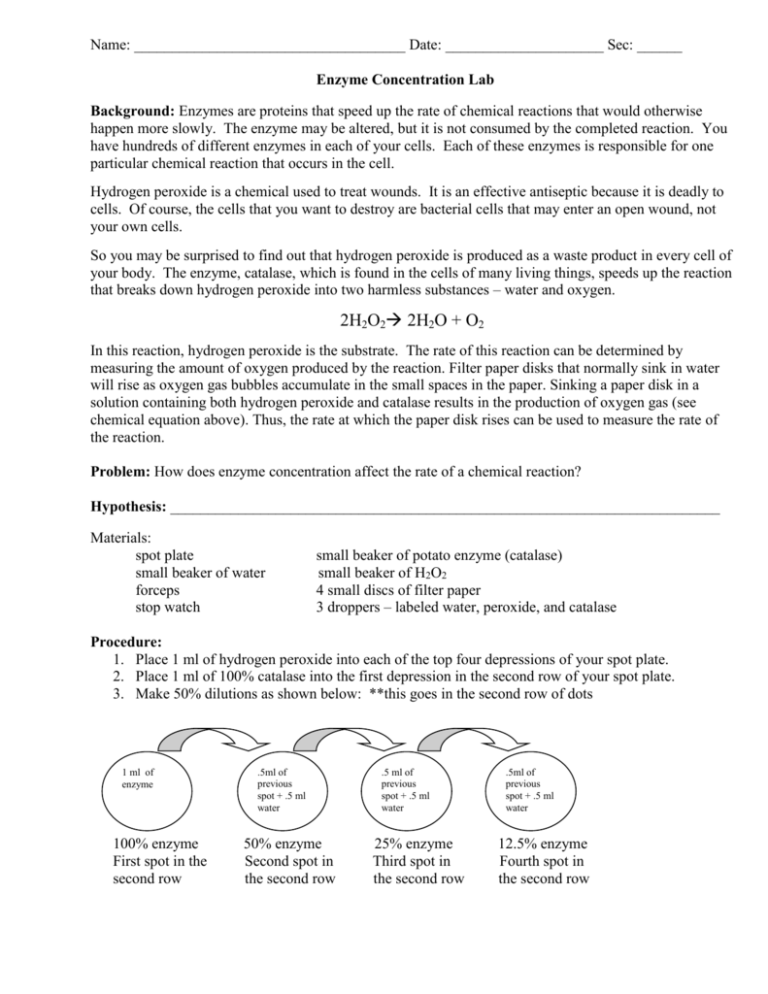 Enzyme Concentration Lab