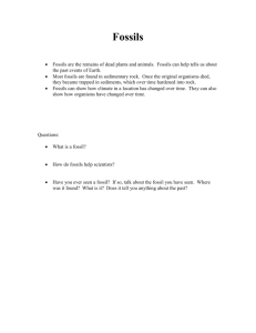 crossword on fossils - Science Teacher Resources