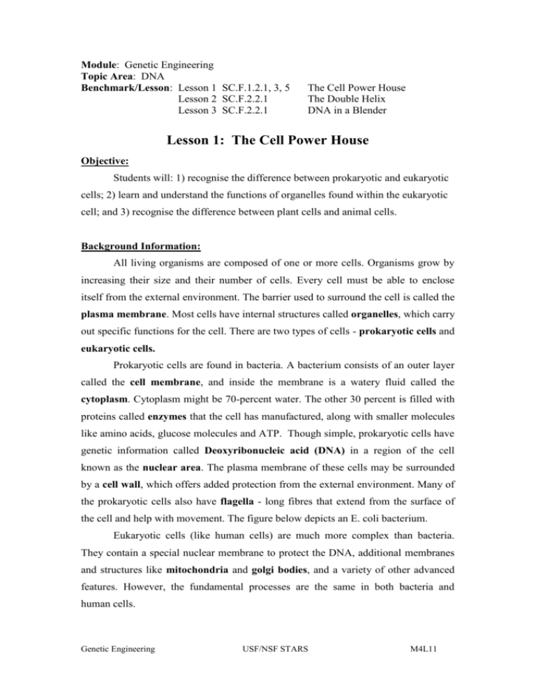 Lesson 1: The Cell Power House