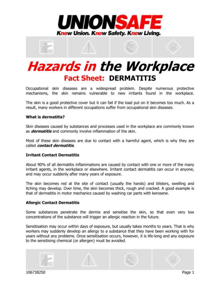 the Dermatitis Fact Sheet