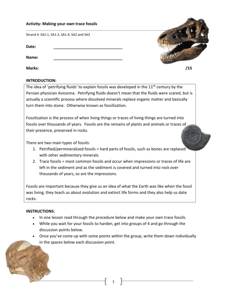 Gr10 Make Your Own Fossils ACTIVITY