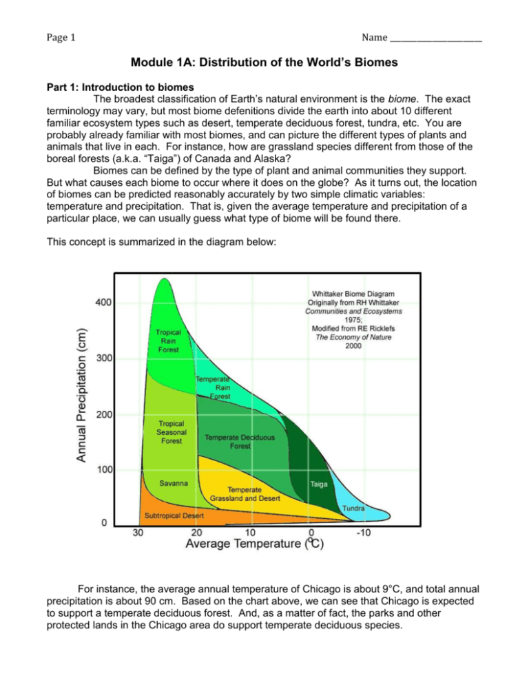 1A Worksheet answers
