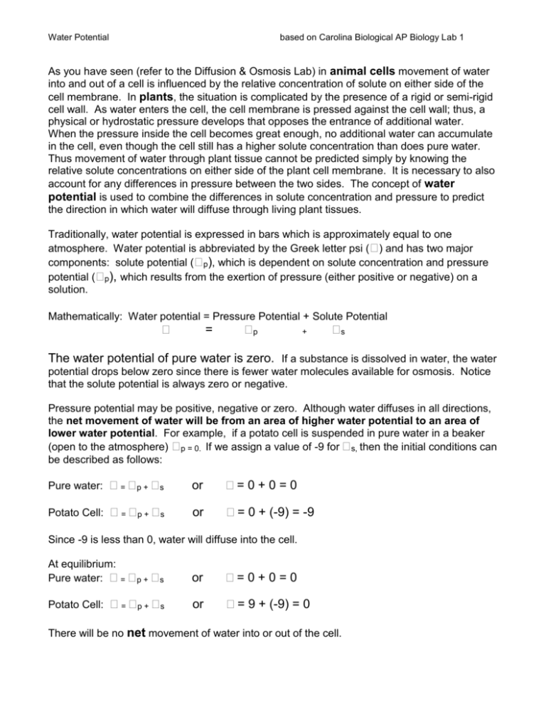 Water Potential Lab APES have more fun