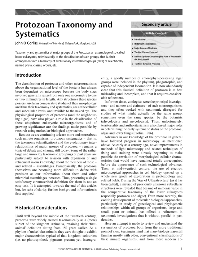 protozoan-taxonomy-and-systematics