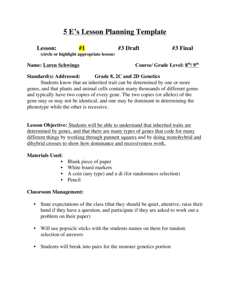 5 E s Lesson Planning Template