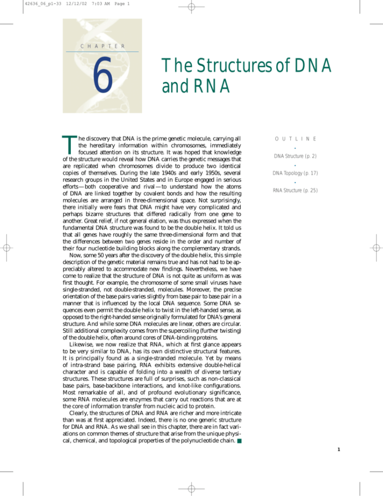 the-structures-of-dna-and-rna