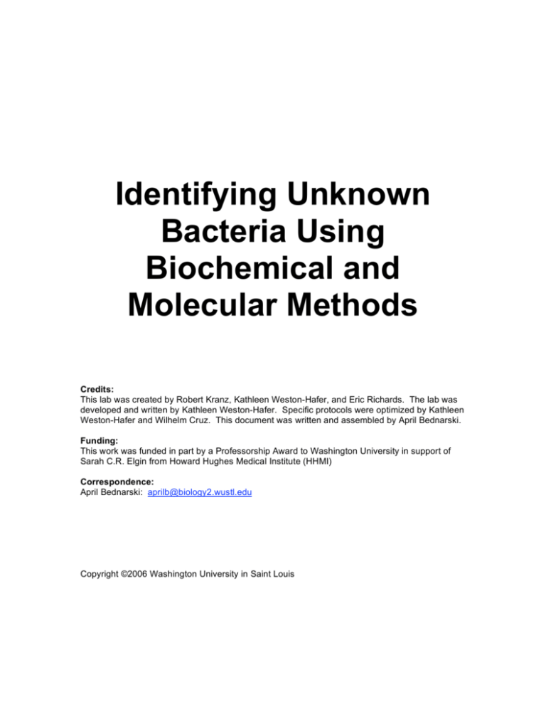 Identifying Unknown Bacteria Using Biochemical And Molecular