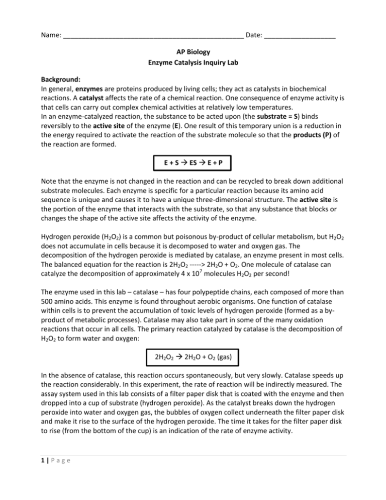 AP Biology Enzyme Catalysis Inquiry Lab Backgro