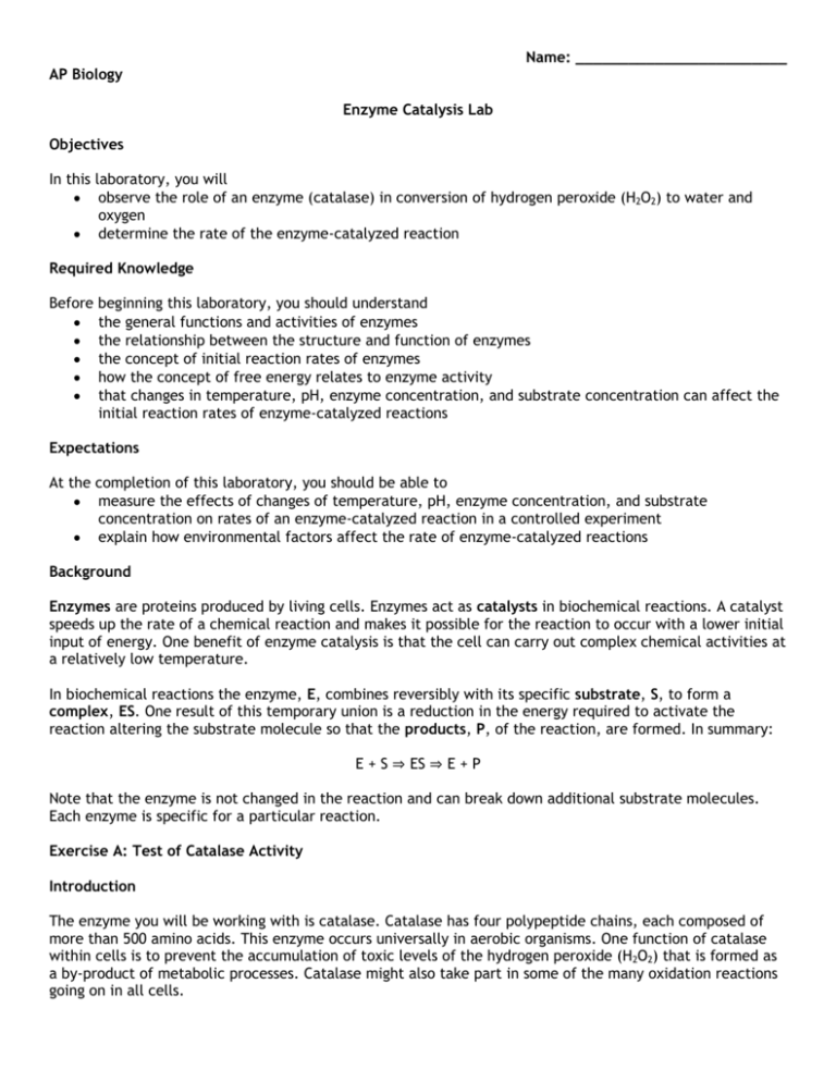 AP Biology Enzyme Catalysis Lab Objectives