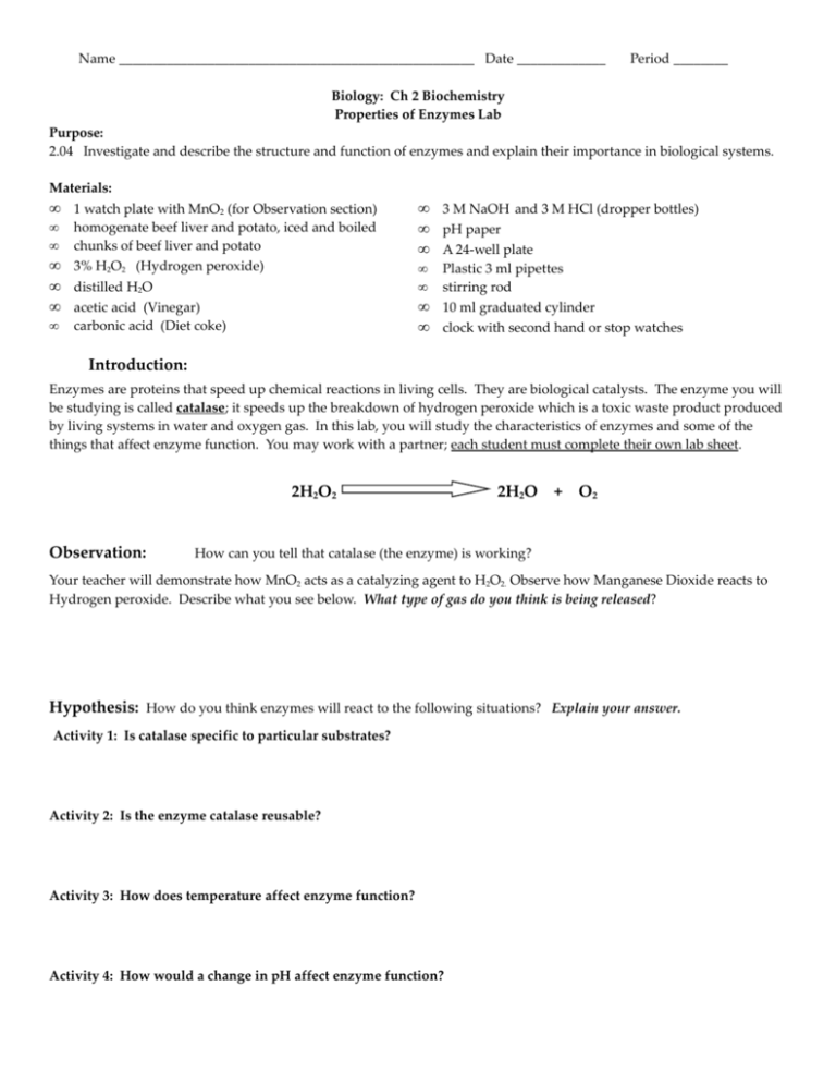 Enzymes Are Proteins That Speed Up Chemical