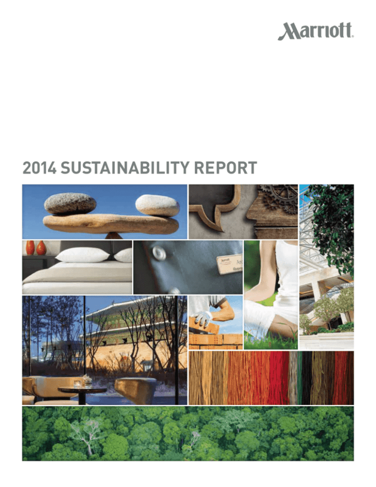 case study report on sustainability