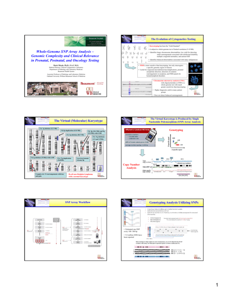 WholeGenome SNP Array Analysis