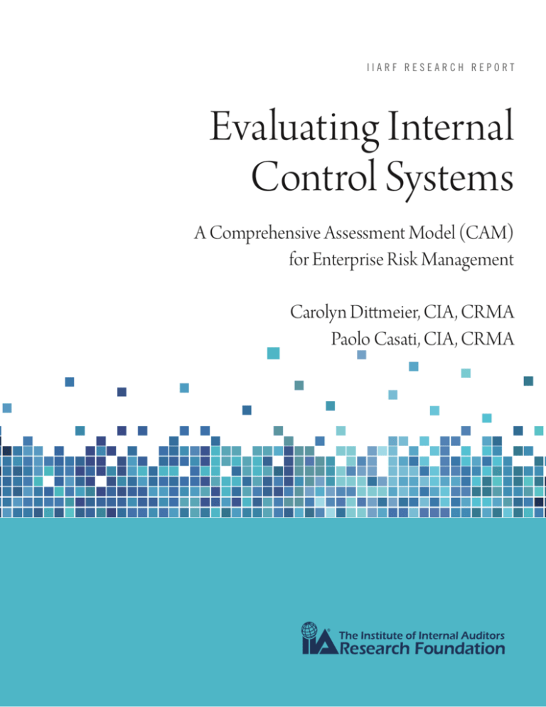 evaluating-internal-control-systems