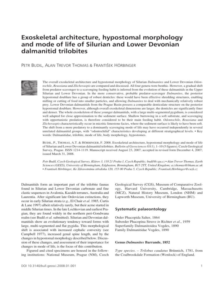 Exoskeletal architecture, hypostomal morphology and mode of life of
