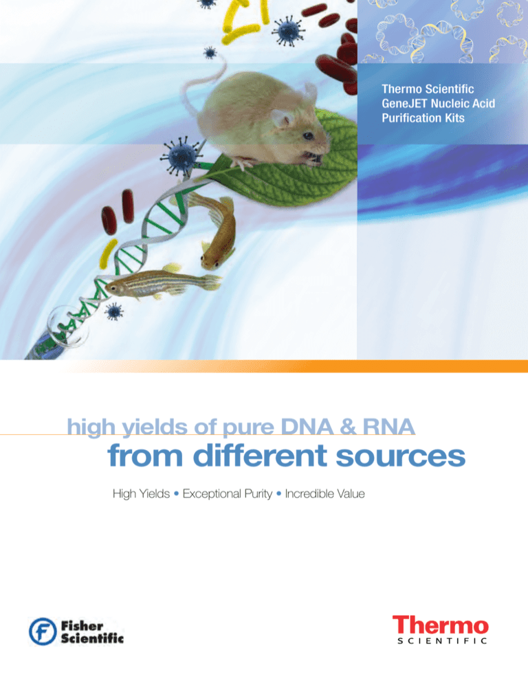 Thermo Scientific GeneJET Nucleic Acid Purification Kits