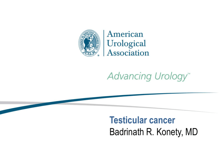 Testicular Cancer American Urological Association 