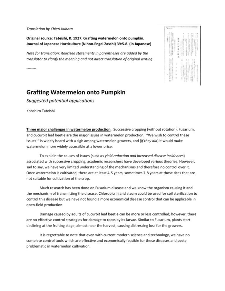 Grafting Watermelon onto Pumpkin