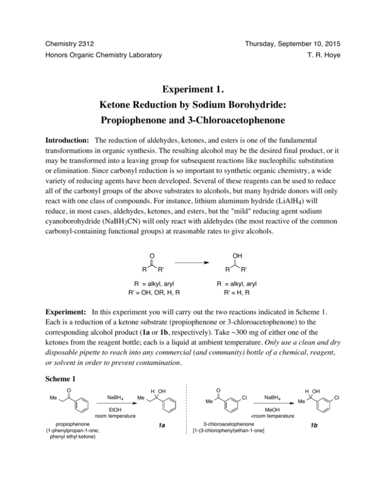 sodium borohydride experiment