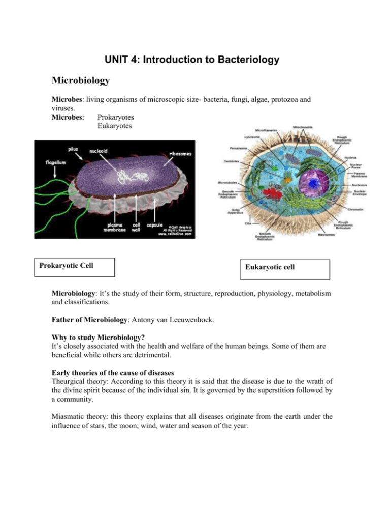 UNIT 4: Introduction To Bacteriology