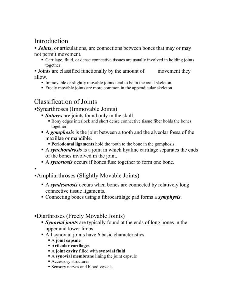 classification-of-joints
