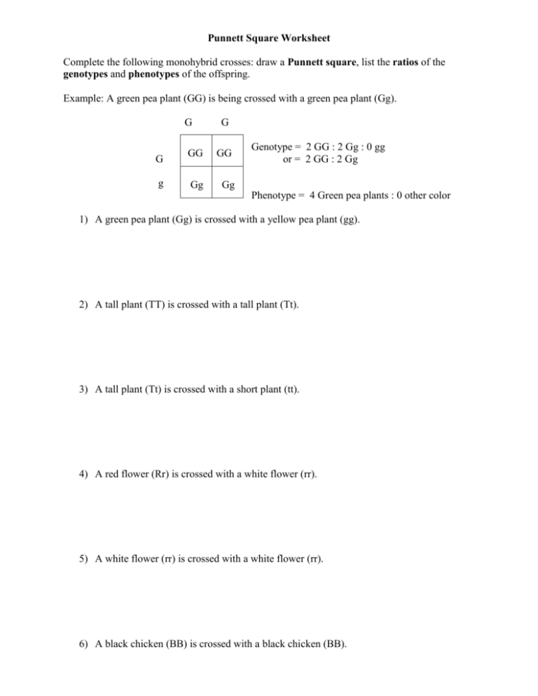 Punnett Square Worksheet-Human Characteristics