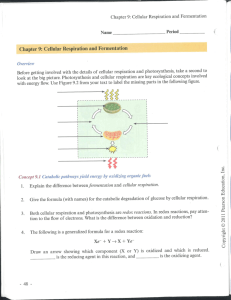 rock pocket mouse lab answers rock pocket mouse lab answers