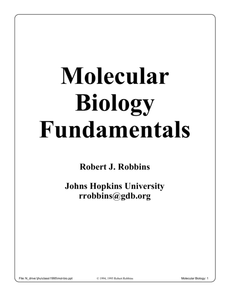 molecular-biology-fundamentals