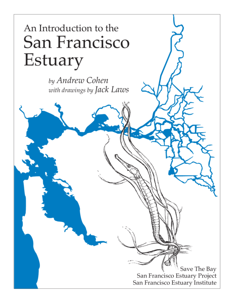 san-francisco-estuary