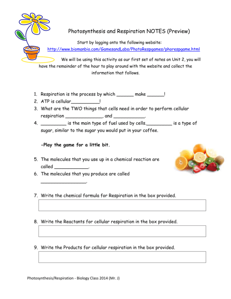 photosynthesis-and-respiration-online-activity-notes