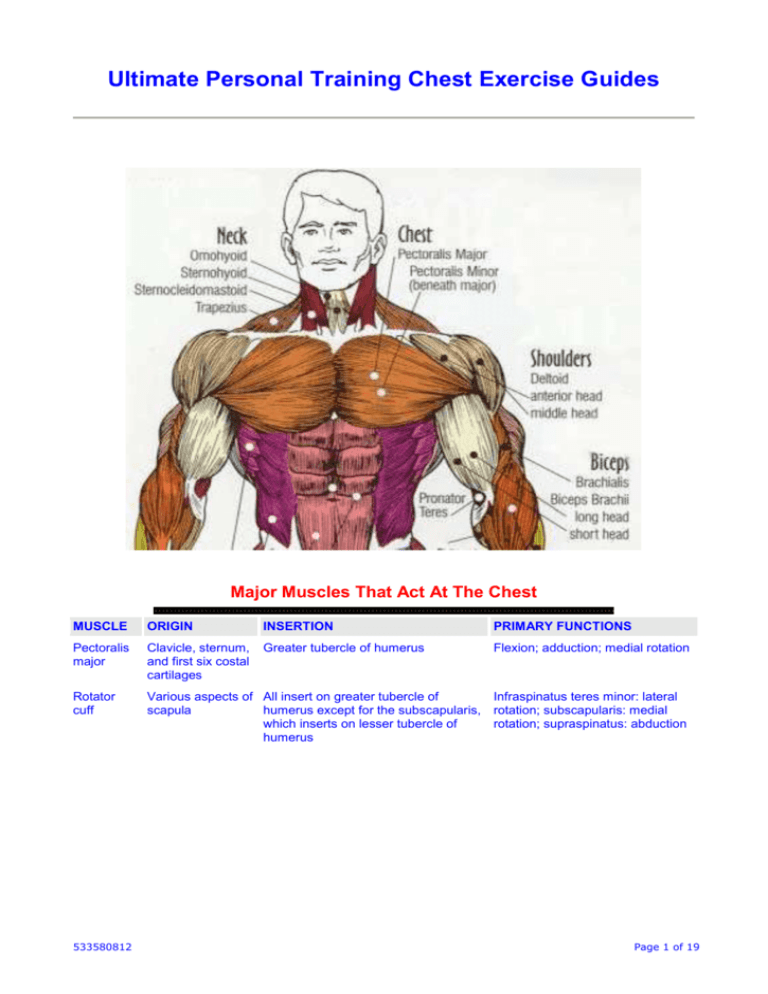 Chest Exercises Ultimate Personal Training chest-exercises-ultimate-personal-training
