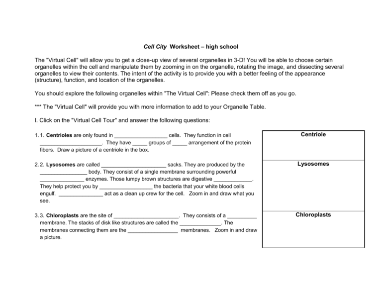 Prentice Hall Inc Cell City Worksheet Answers