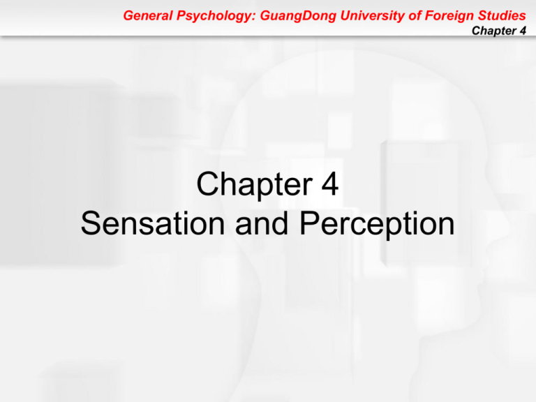 Chapter 4: Sensation And Perception