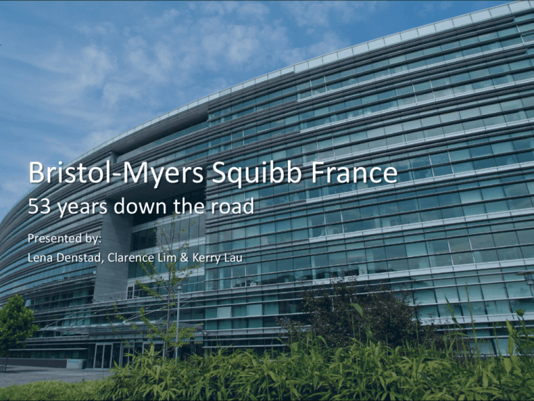 Bristol-Myers Squibb France 2009