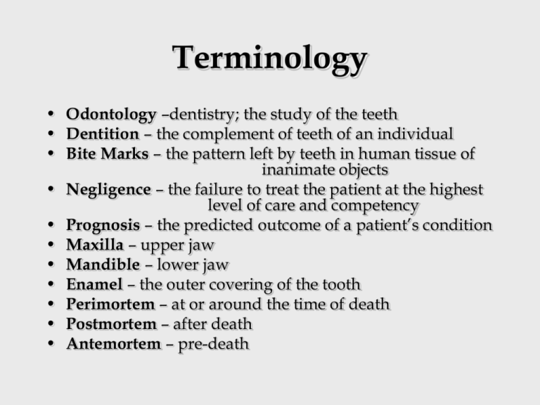 Forensic Odontology