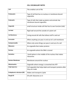 Cell Organelles