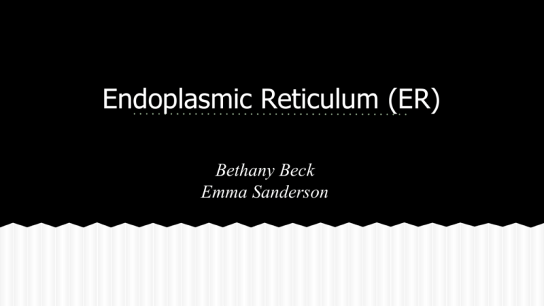 endoplasmic-reticulum-er