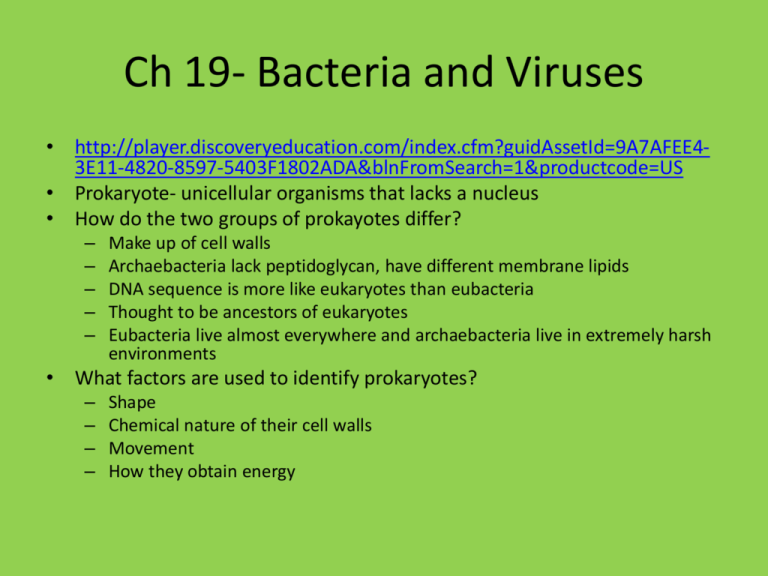 Ch 19 Bacteria and Viruses