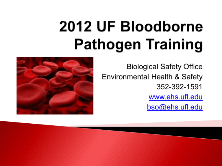 uf-bloodborne-pathogen-training