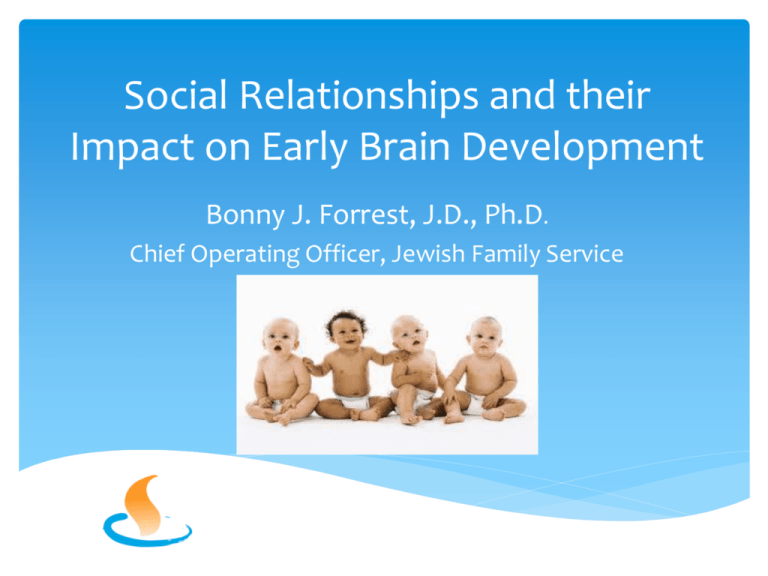 Social Relationships And Their Impact On Early Brain Development